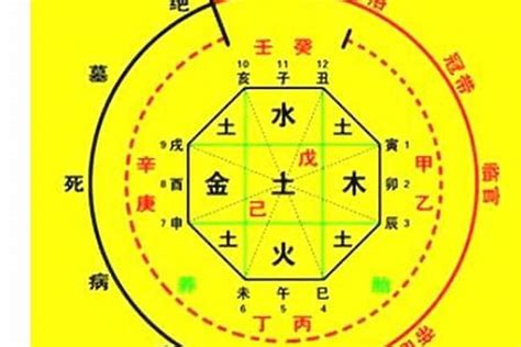 命運預測|生辰八字算命、五行喜用神查詢（免費測算）